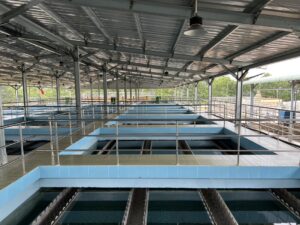 Sửa chữa và bảo trì hệ thống cấp nước